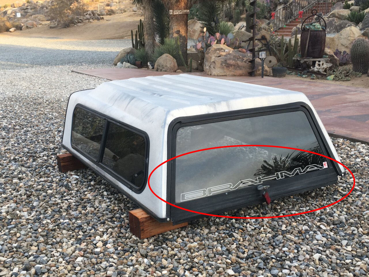 BRAHMA CANOPY REAR WINDOW DECAL