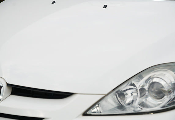 SOFT99-SERIES WHITE CARNAUBA GLOSS FINISH WAX